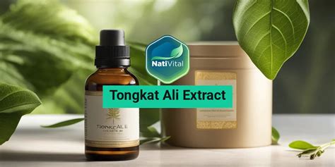 tongcat ali|where to buy tongkat ali.